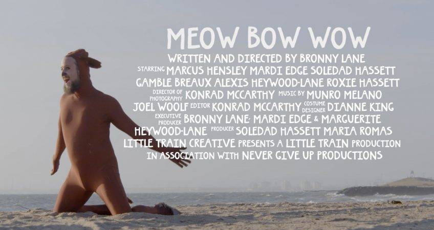 Meow Bow Wow